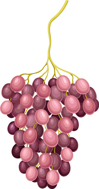 椭球形悬果串紫葡萄图片下载