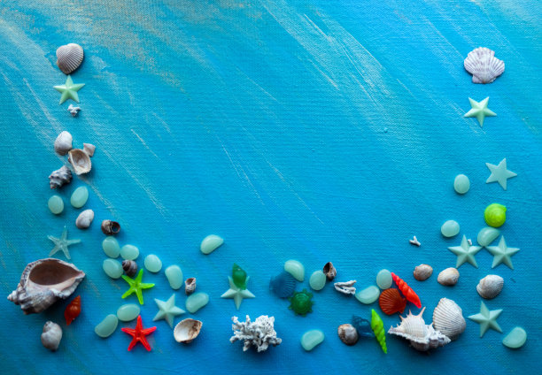 贝壳夏天背景。许多不同的贝壳，海星的背景上的蓝色画笔。在底部边缘放置带有边框的文本图片下载