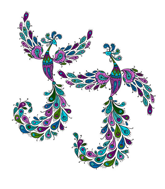 一对魔法仙子鸟凤凰鸟图片下载