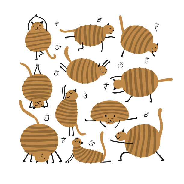 有趣的猫做瑜伽艺术人物孤立图片下载