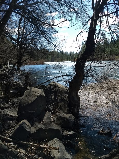 河岸边图片下载