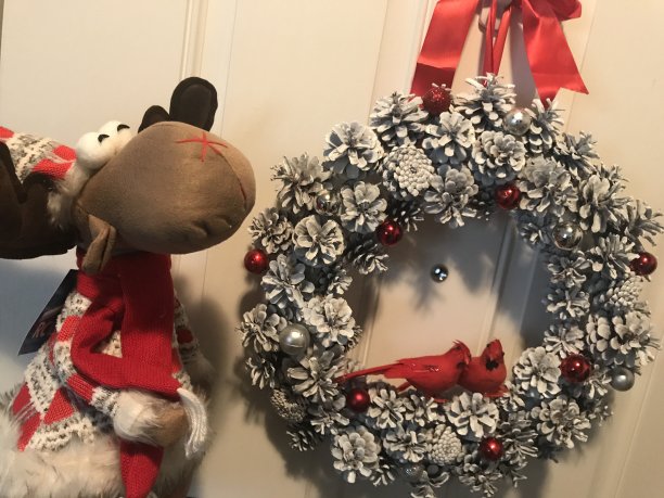 鲁道夫图片下载