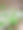 绿色植物藤蔓在白色盆栽照片图片下载