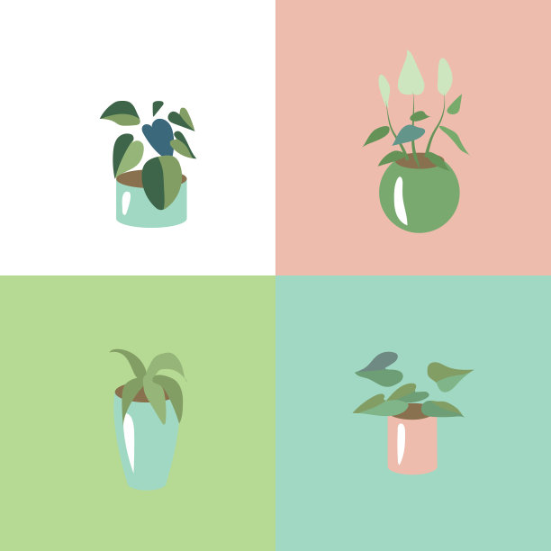 设置不同风格的家庭植物图片下载