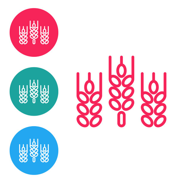谷类红线设水稻、小麦、玉米、燕麦图片下载