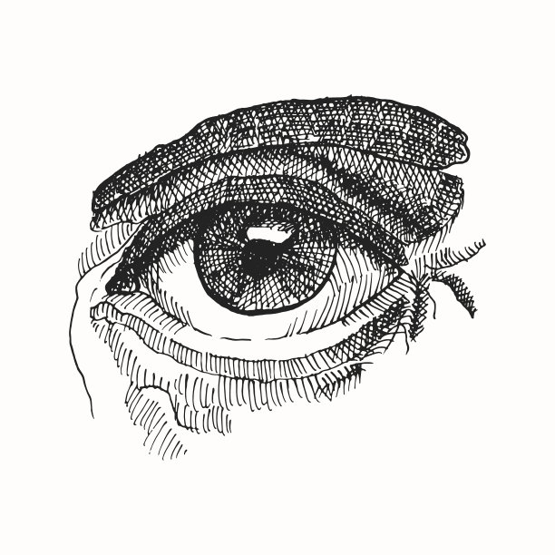 女人眼手绘素描图片下载