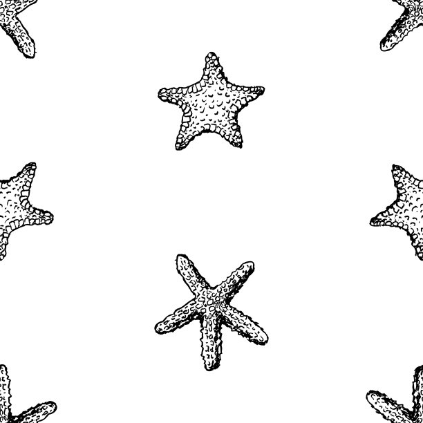 无缝背景素描卡通海星图片下载
