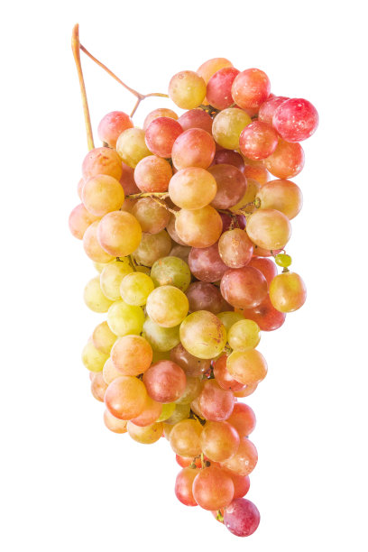 一串成熟的葡萄图片下载