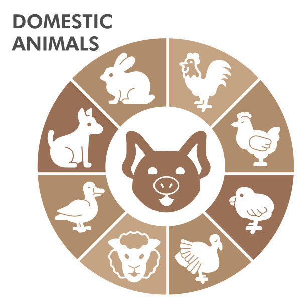 现代家畜信息图形设计图片下载