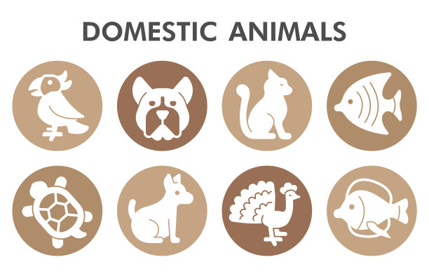 现代家畜信息图形设计图片下载