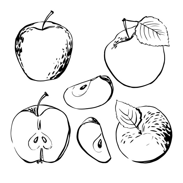 苹果。矢量光水果线水彩在白色的背景。图片下载