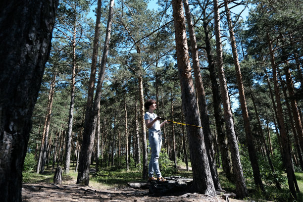 成熟的女人在松林里与阻力带一起锻炼图片下载