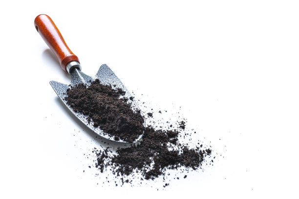 园艺铲与污垢隔离在白色图片下载