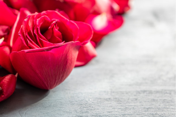 用红玫瑰叶子庆祝的浪漫礼品卡模板。图片下载