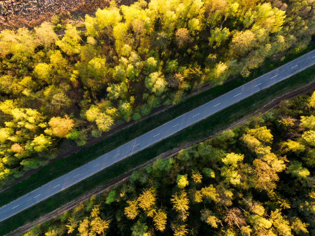 森林道路鸟瞰图。秋天的风景与道路和黄色，绿色的树木图片下载