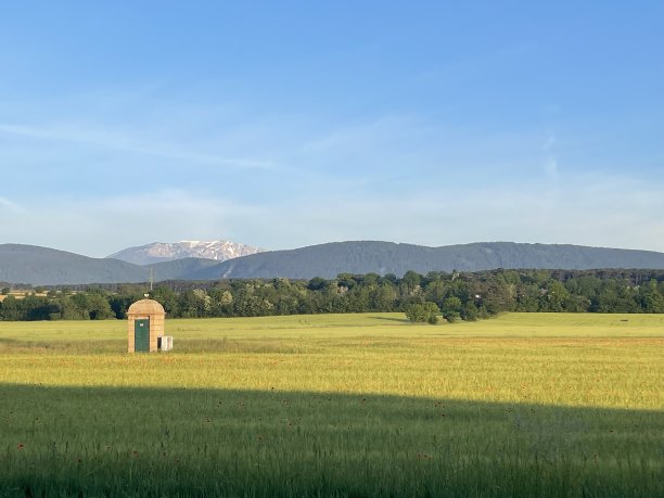 阳光健康图片下载