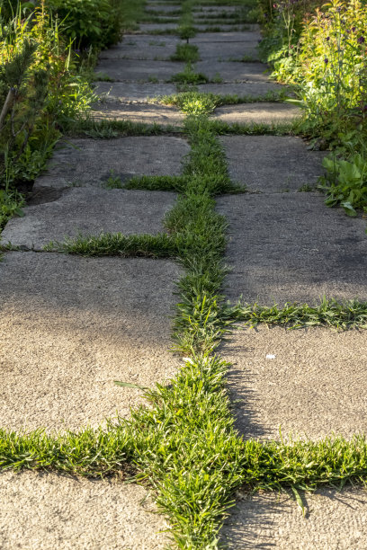 后院的设计元素图片下载