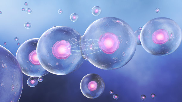 人体内的细胞分裂图片下载