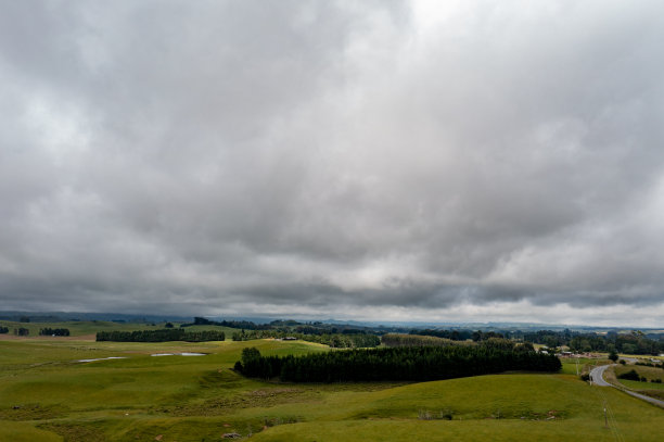 一群羊在绿色农场吃草，49号州公路，新西兰图片下载