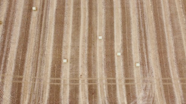 在收获干草饲料和把它卷成捆后，在田野上的线的空中照片图片下载