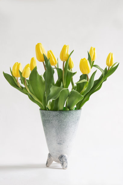 花瓶和郁金香。图片下载