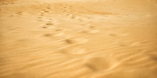 高清晰度沙滩。夏天的风景图片下载