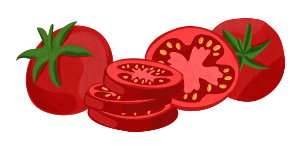 图像设置番茄在不同的州图片下载