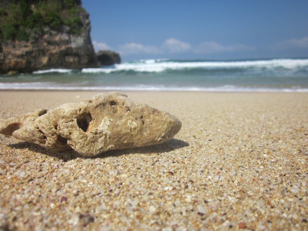 海滩上的珊瑚礁图片下载