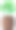 花椰菜与叶子在木锅孤立上图片下载