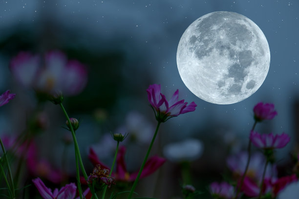 月圆之夜，宇宙之花剪影。图片下载