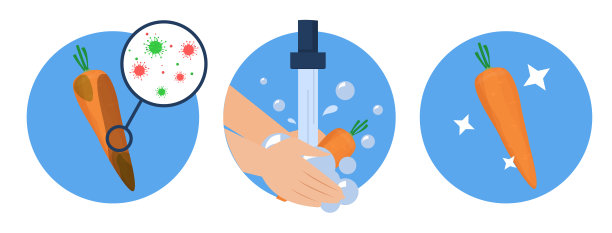 洗胡萝卜概念分离载体。肮脏的蔬菜图片下载