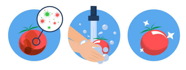 洗番茄概念病媒分离。肮脏的蔬菜图片下载