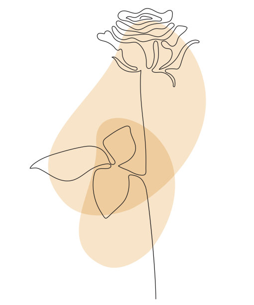 美丽的玫瑰花线艺术。矢量插图。连续的线条画。抽象简约花设计封面，版画，家居装饰图片，装饰，设计，海报图片下载