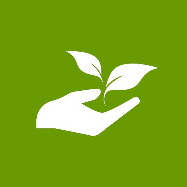 在手里发芽。手握嫩叶。增长,启动。发展理念。图片下载