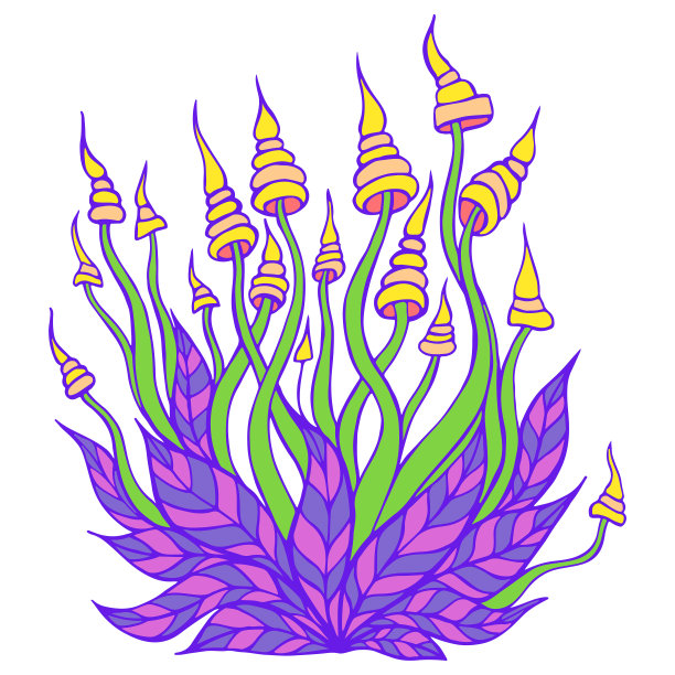 有幻觉的明亮的装饰奇妙的蘑菇，孤立在白色的背景。图片下载