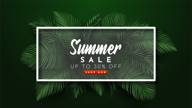 夏季销售横幅与热带树叶背景。矢量图图片下载