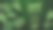 夏季销售横幅与热带树叶背景。矢量图图片下载