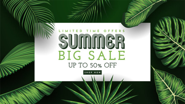 夏季销售横幅与热带树叶背景。矢量图图片下载