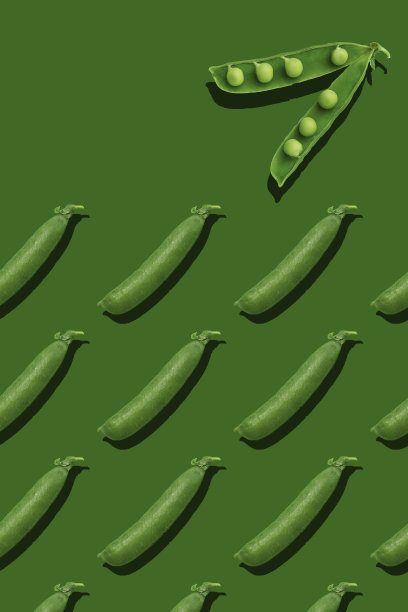 绿色背景上的豌豆图片下载