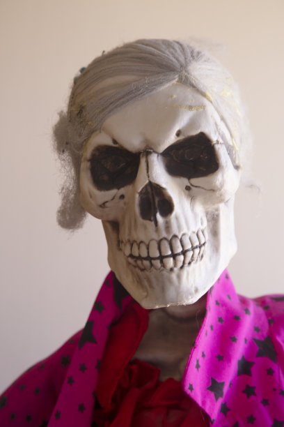 白色的人类骨骼图片下载