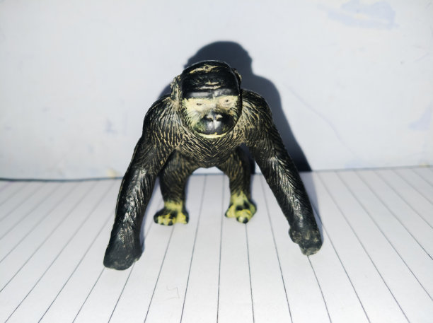 黑猩猩的特写镜头。图片下载