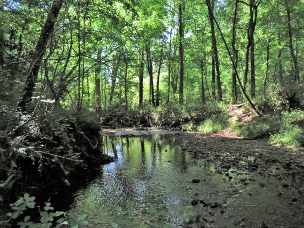 黑绿石溪图片下载