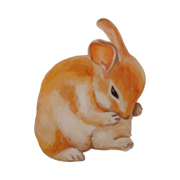 水彩,兔子图片下载