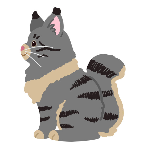 简单可爱的灰色缅因猫坐在侧视图平颜色图片下载