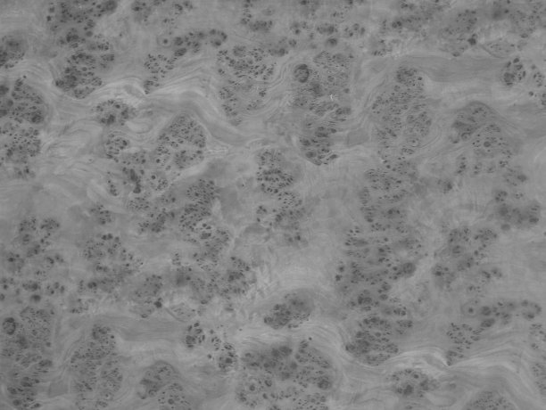 抽象的白色室内图片下载