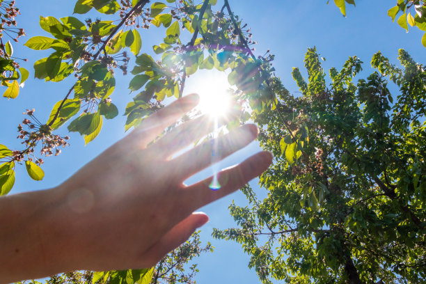 无脸图片，人的手覆盖阳光，阳光透过手，人的手覆盖太阳的形象，明亮的阳光，孤立在公园或森林背景。自然的概念。图片下载
