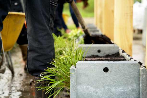 由回收塑料块制成的墙，填充了城市绿化的基材和植物图片下载
