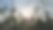 模糊的野花剪影在昏暗的天空前随风摇摆图片下载