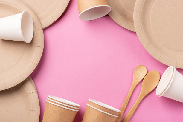 环保可生物降解纸盘图片下载