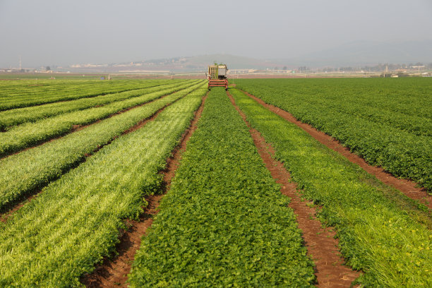 农业机械在绿色田野中收割作物图片下载